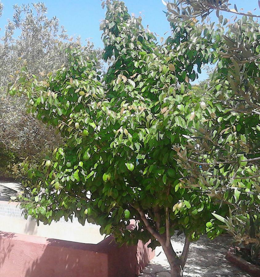 Holiday home Baglio Del Sole